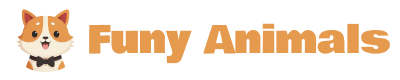 Funy Animals